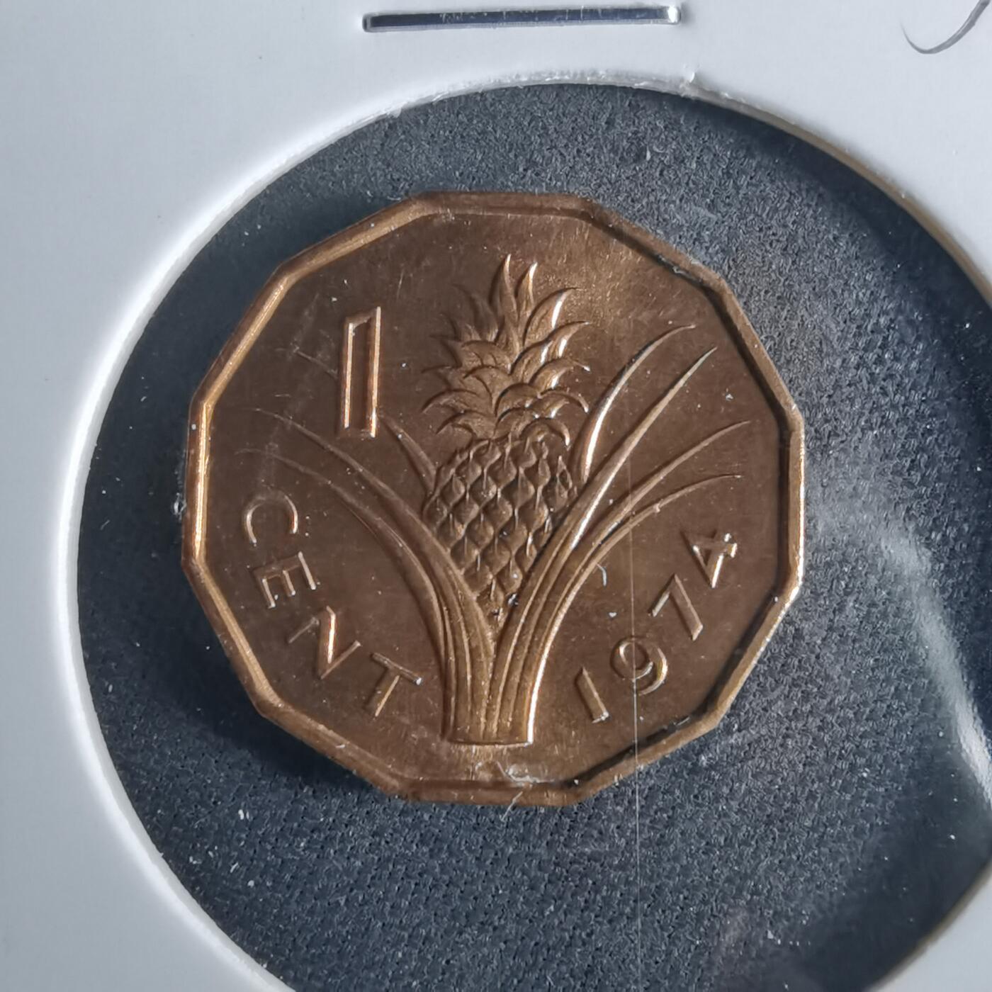 沼泽如烟--第956场