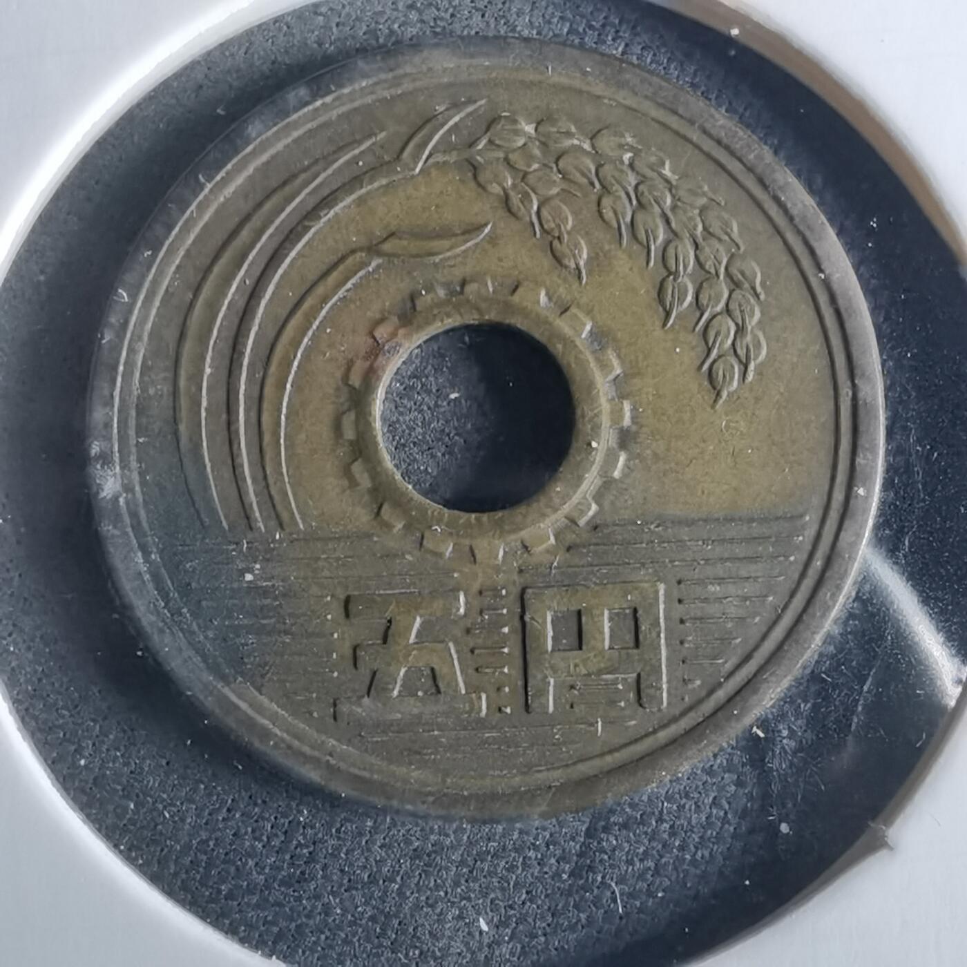 沼泽如烟--第956场