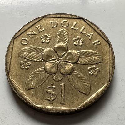 🌹外币初藏🌹🐯2026年第5场  每周二四六晚8️⃣点 接代拍 - 新加坡1988年一元