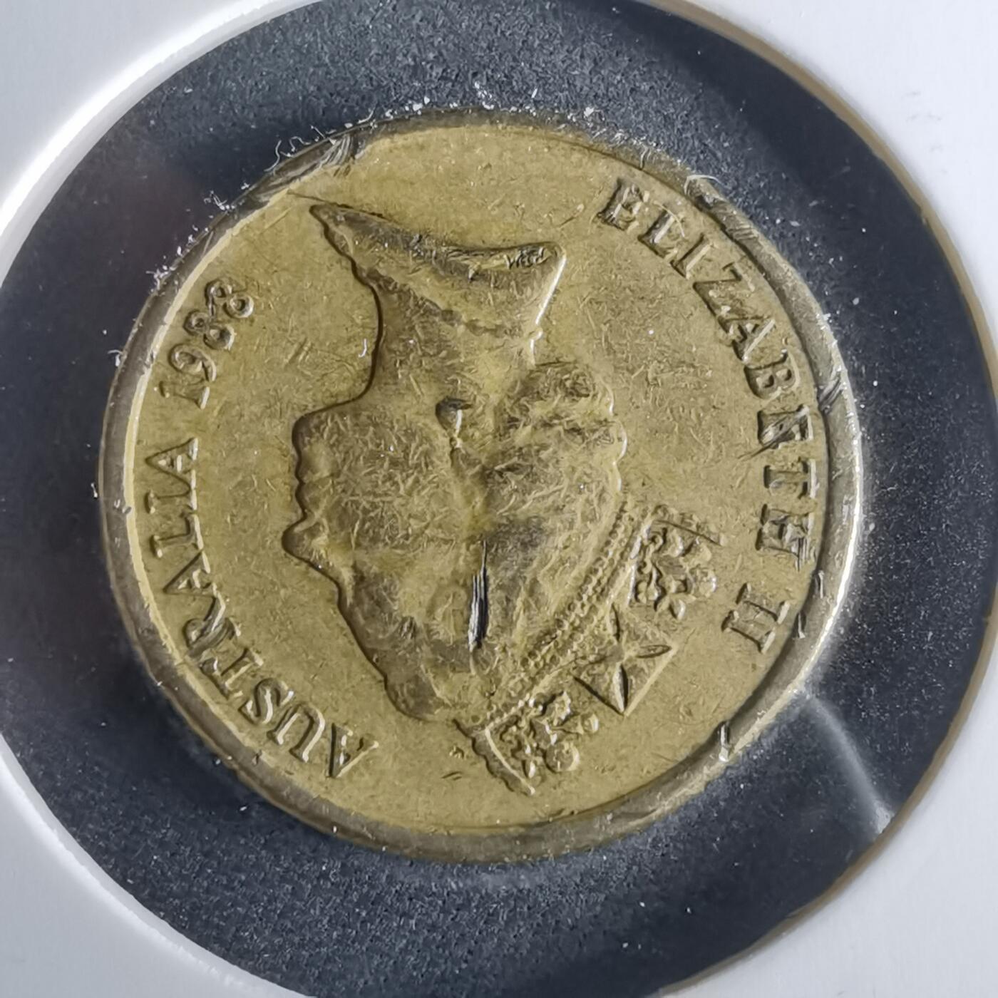 沼泽如烟--第956场