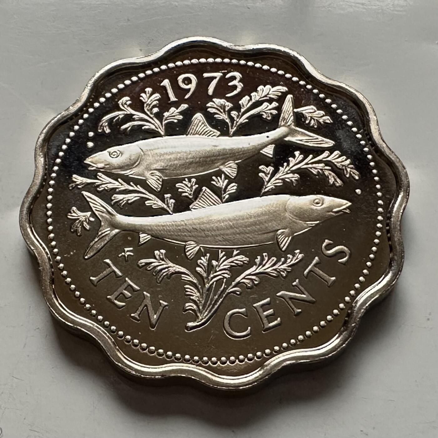 🌹外币初藏🌹🐯2026年第5场  每周二四六晚8️⃣点 接代拍