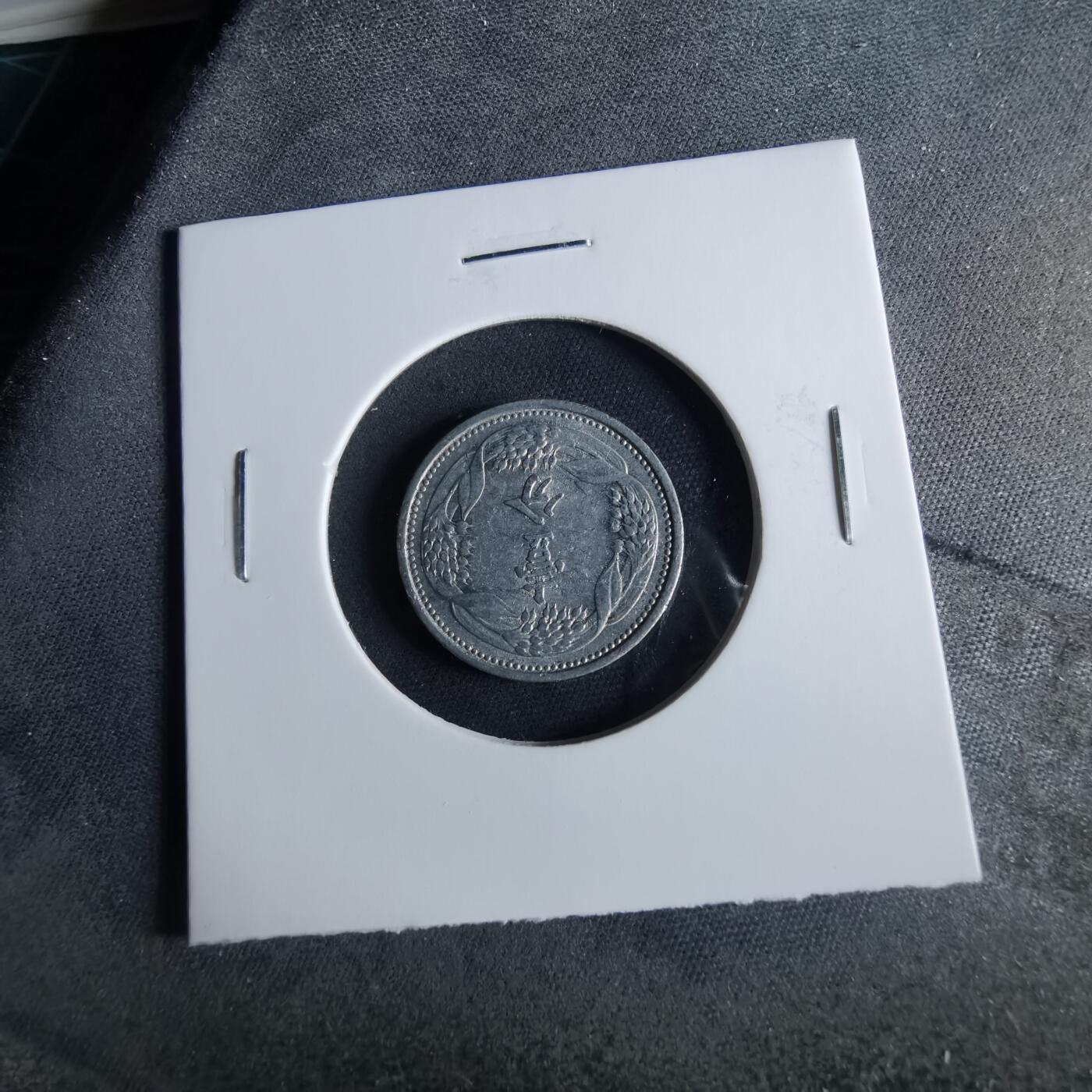 沼泽如烟--第956场