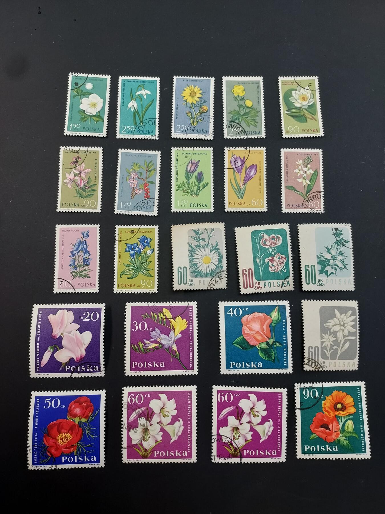 博彦收藏  TM 1月14日 8点 邮票专场 全场包邮