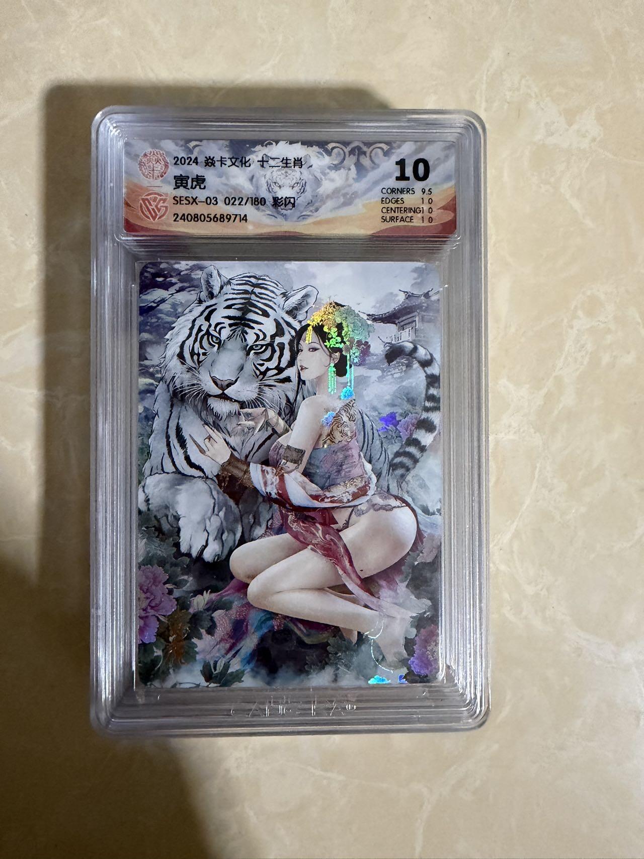 【星星之火，可以燎原】小王子卡拍第二十场