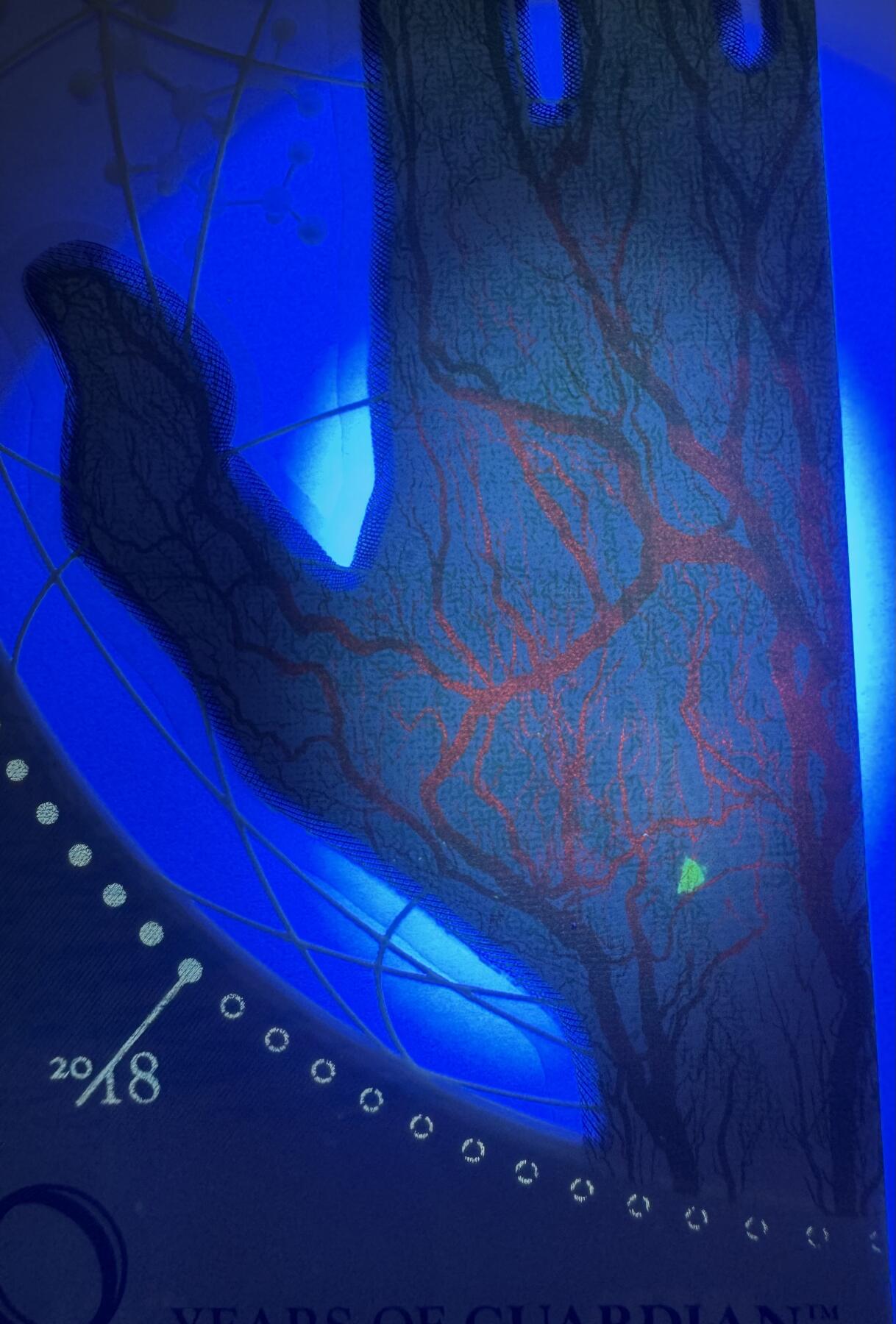 2026第1场（总第228期）：精品测试钞、外钞、塑料钞、连体钞综合场 红色荧光/CCL塞卡瑞希 “Guardian塑料钞发行30周年～手型”塑料测试钞UNC