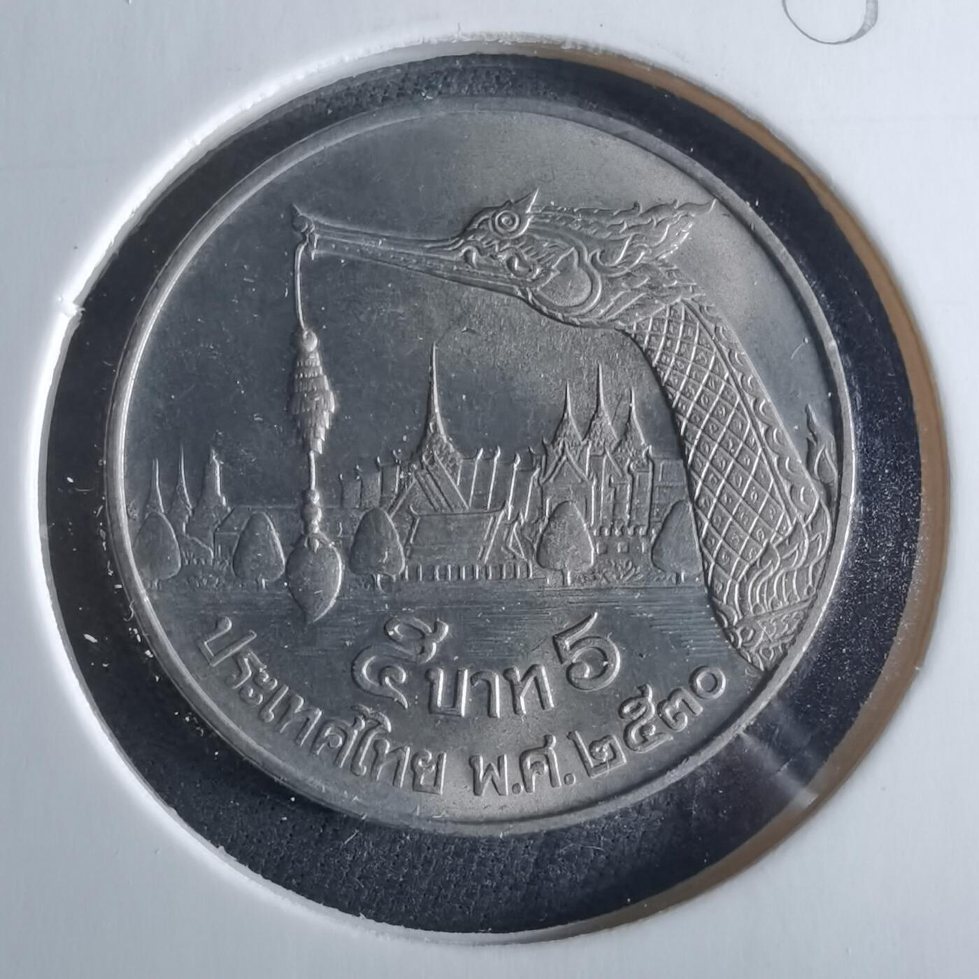 沼泽如烟--第956场 泰国大龙舟