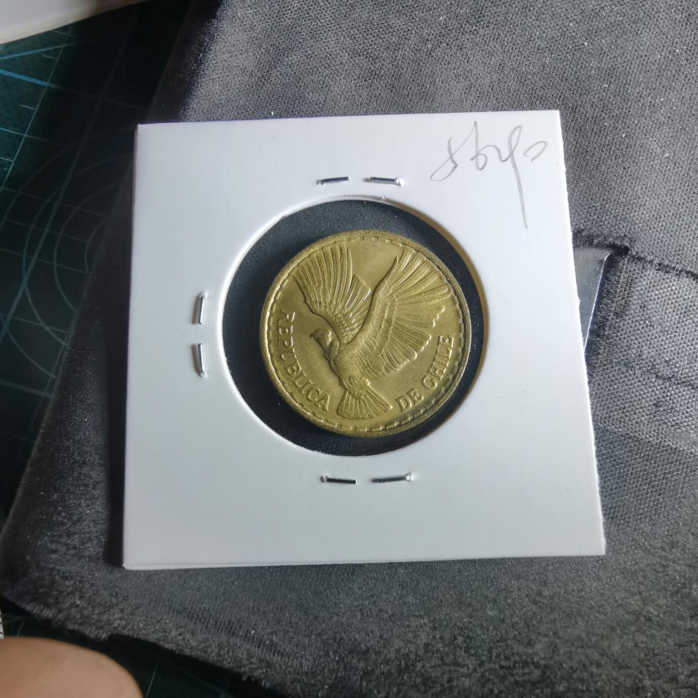 沼泽如烟--第956场