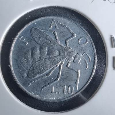 沼泽如烟--第956场 - 圣马力诺1974年10里拉FAO