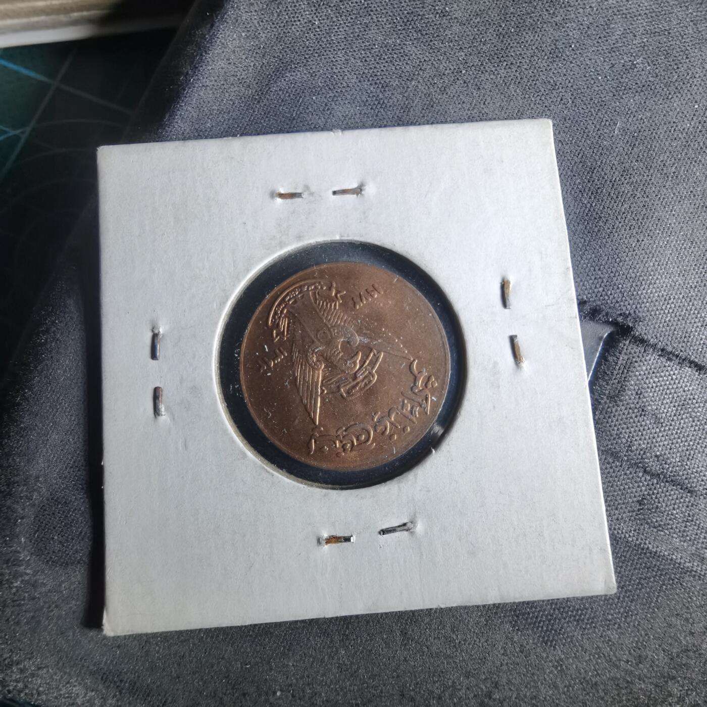 沼泽如烟--第956场