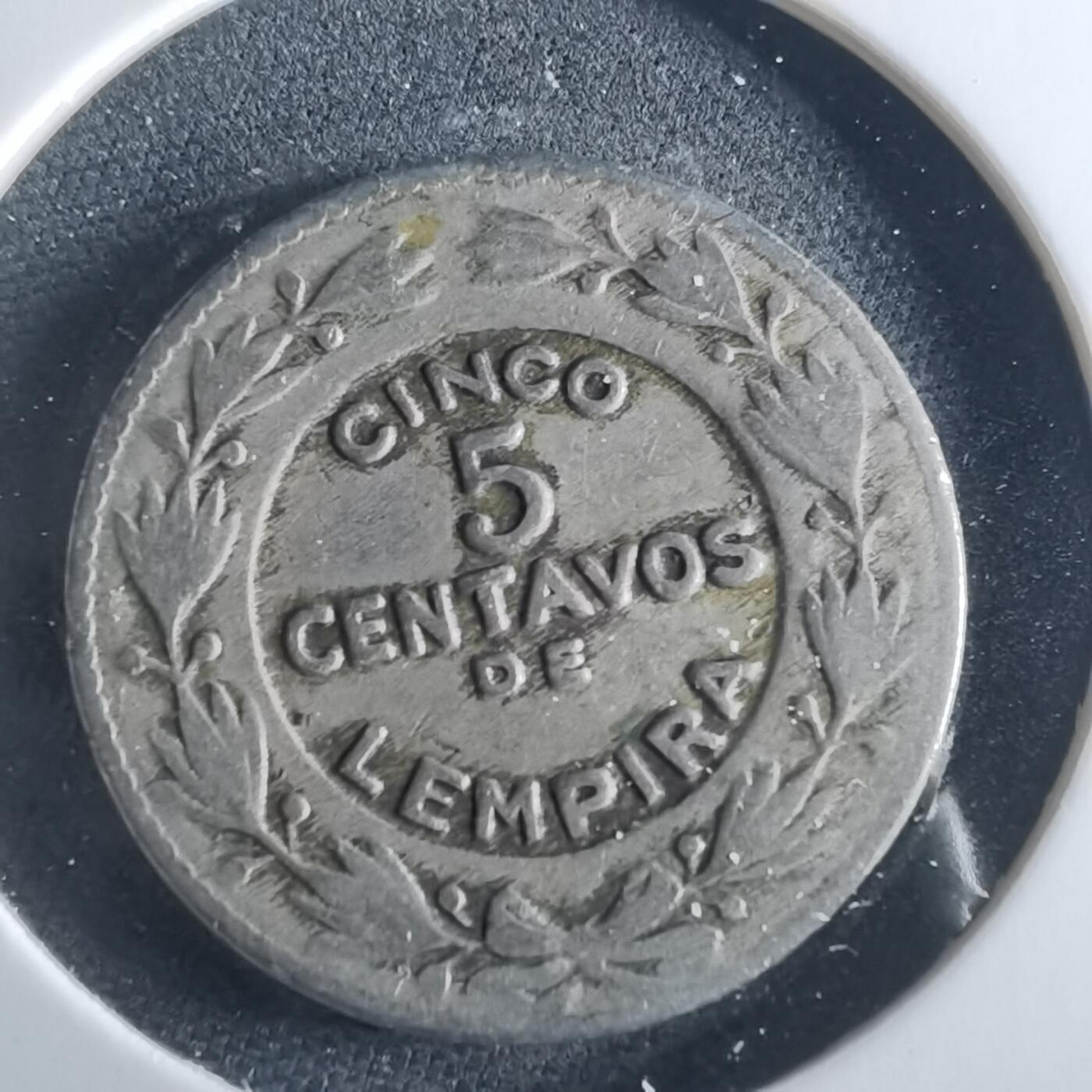 沼泽如烟--第956场