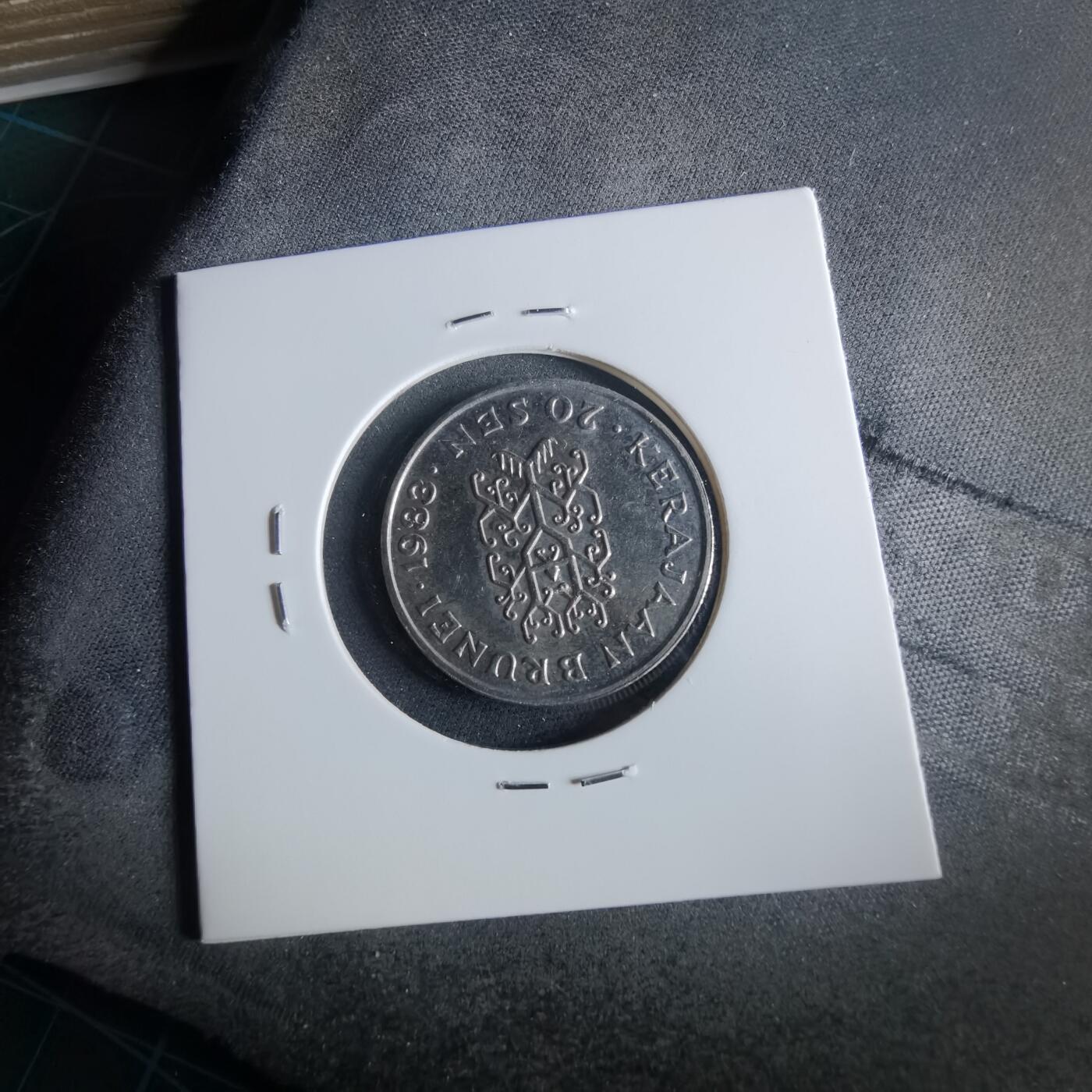 沼泽如烟--第956场