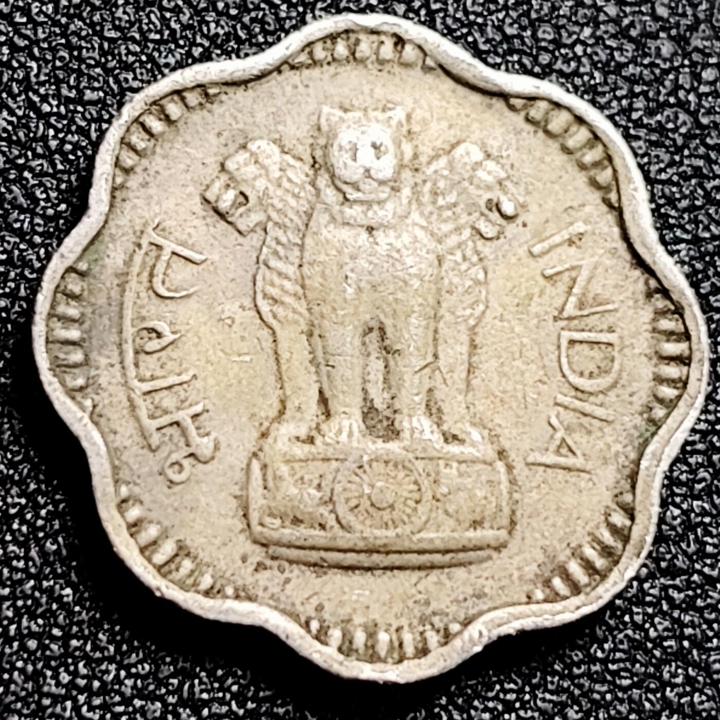 泉币菌-第167场- 精品福利场 。