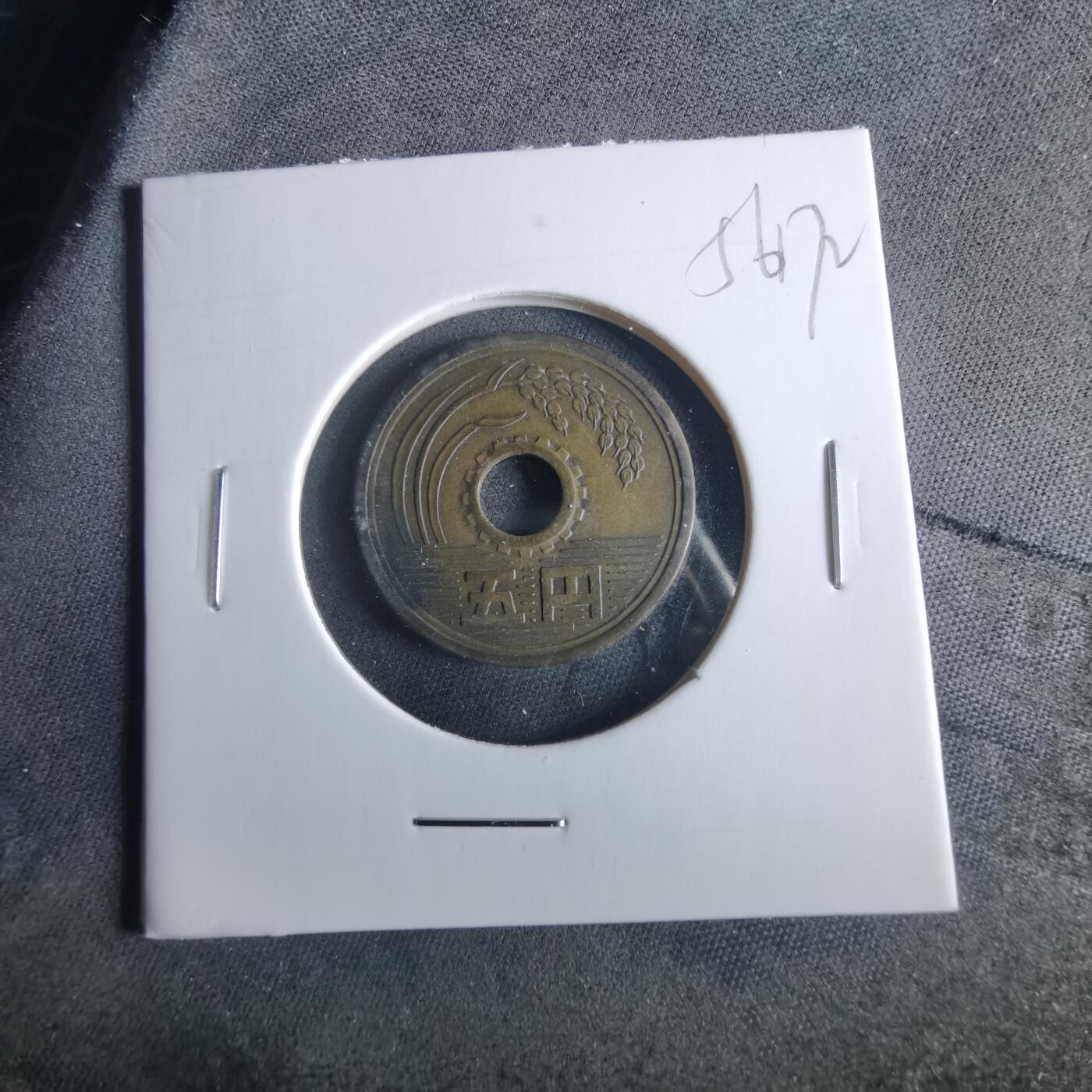 沼泽如烟--第956场