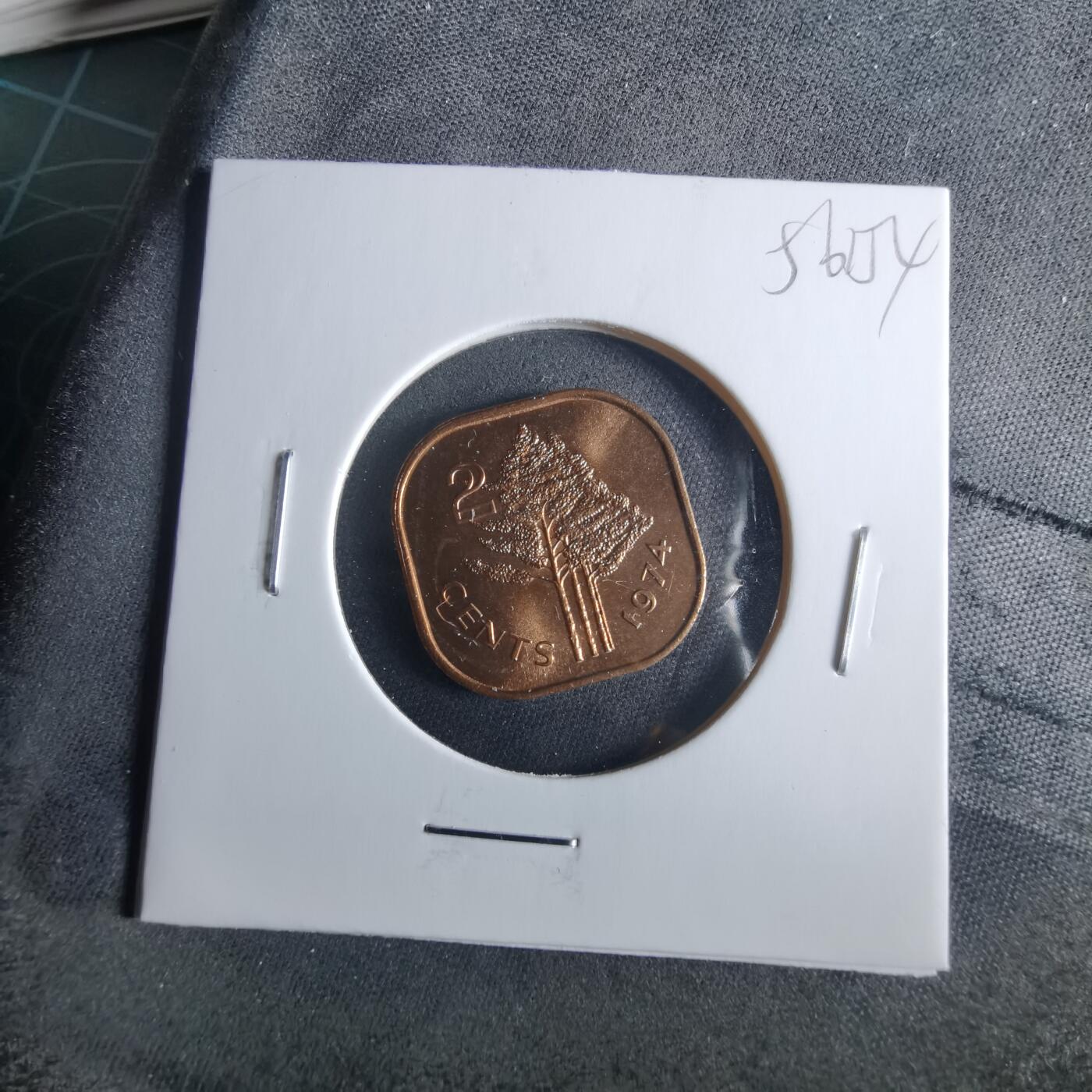 沼泽如烟--第956场