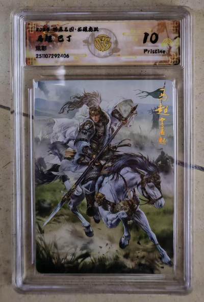 NO.20 好又多金牌大场，新年马到成功！新店点关注不迷路！每周一站式配齐，方便凑单！（周6晚8点截拍，卖家送拍0抽成！） - 焱卡 燎原三国 巴丁 马超 炫彩 10P