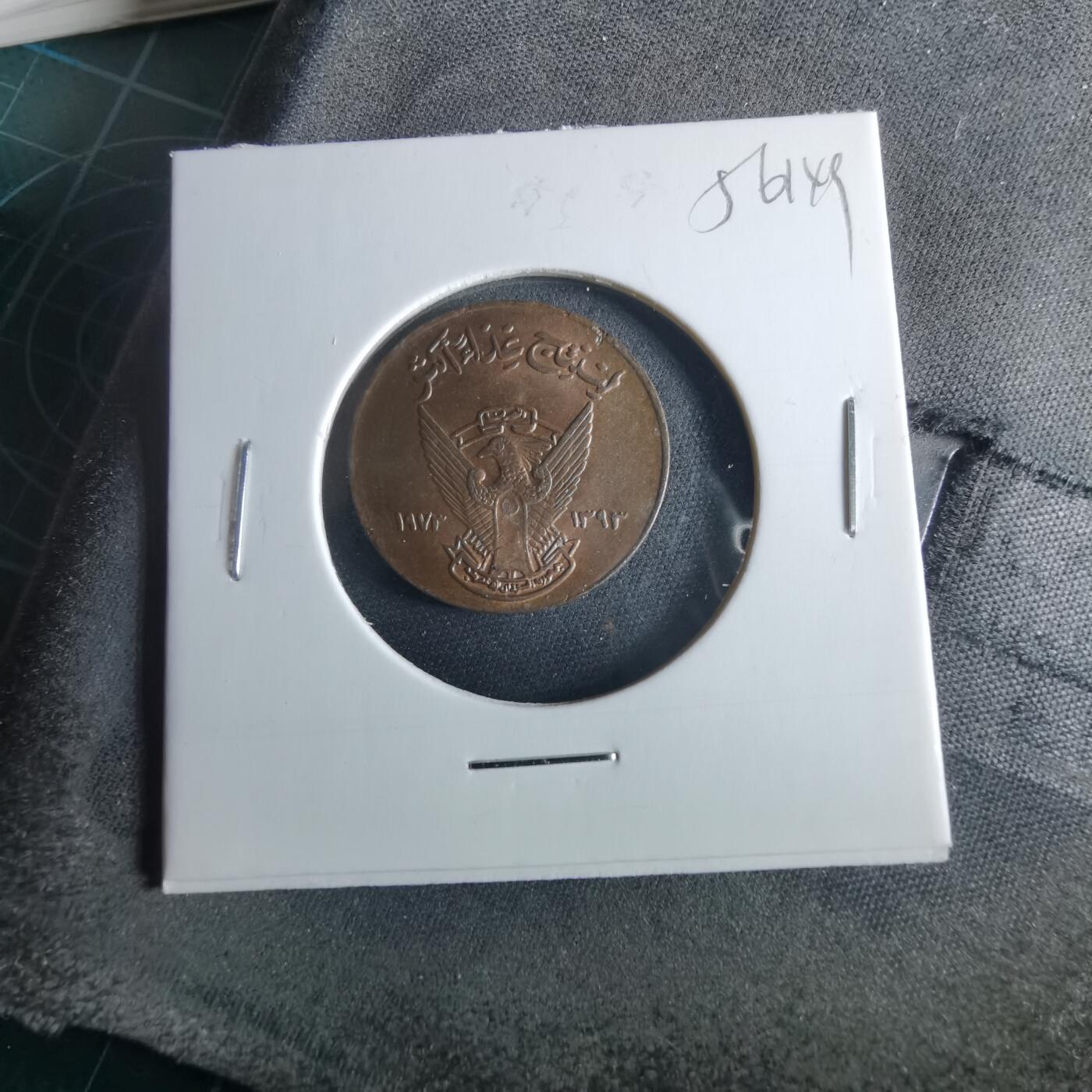 沼泽如烟--第956场