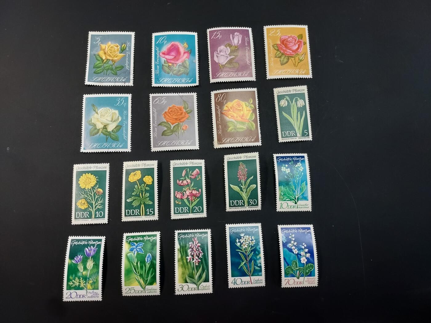 博彦收藏  TM 1月14日 8点 邮票专场 全场包邮