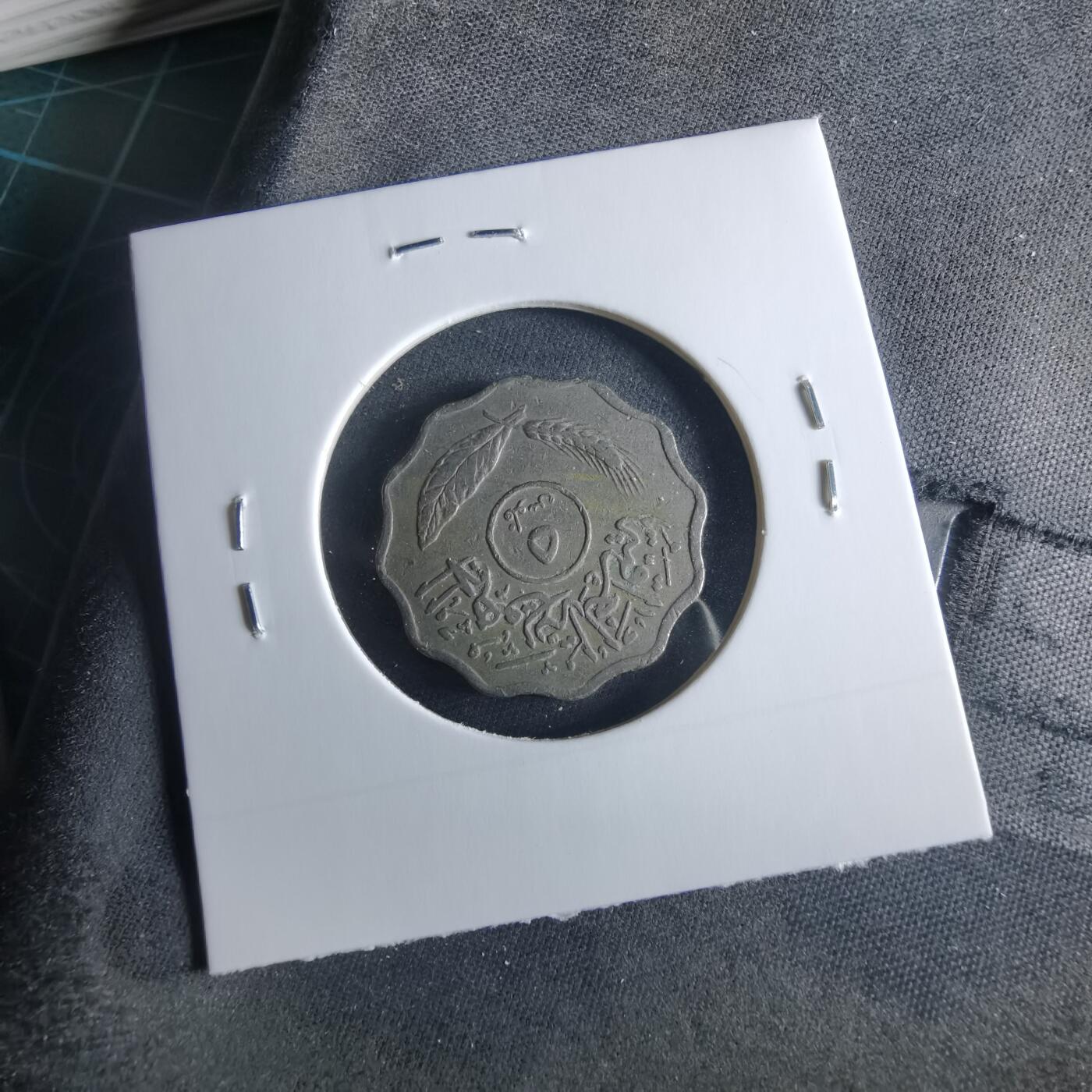 沼泽如烟--第956场