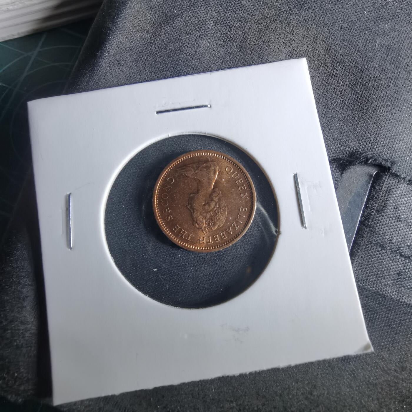 沼泽如烟--第956场