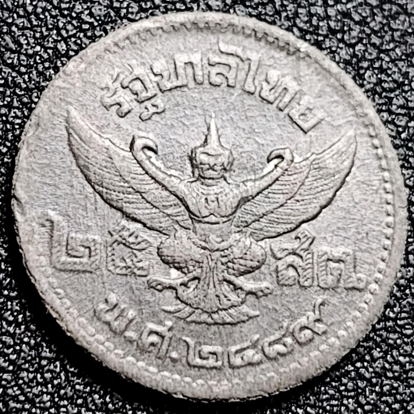 泉币菌-第167场- 精品福利场 。