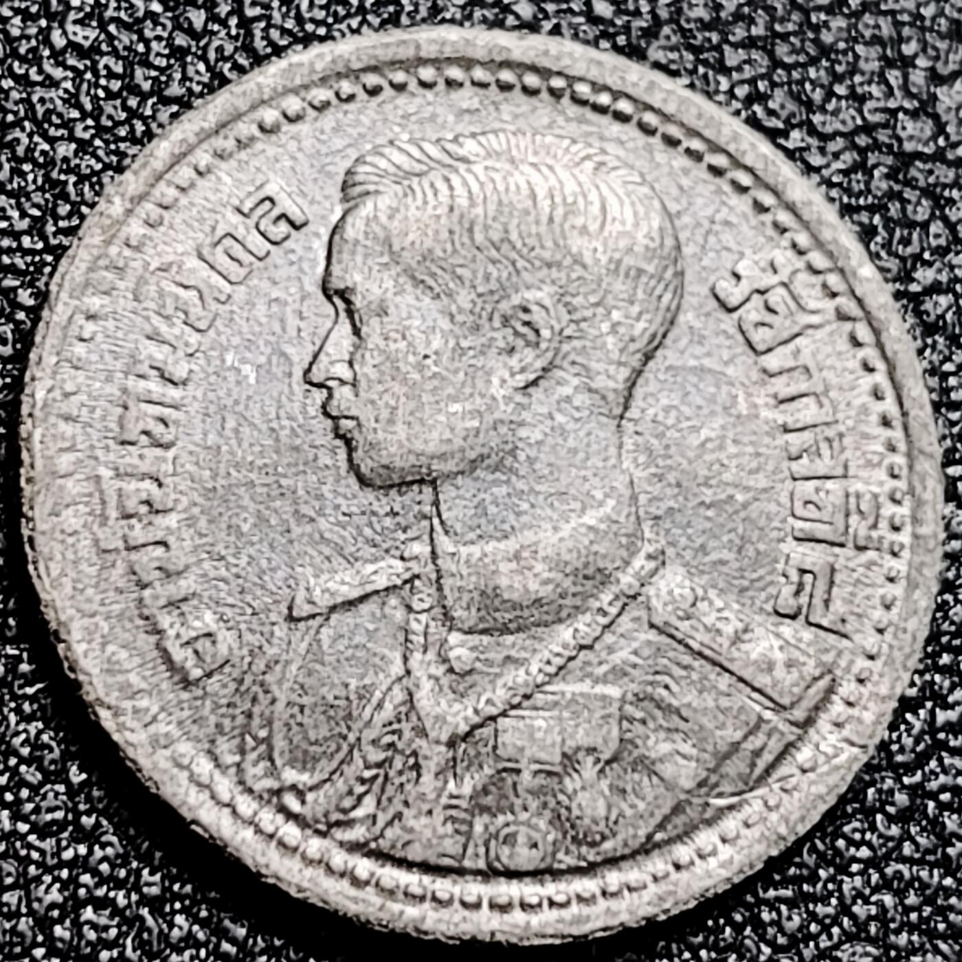 泉币菌-第167场- 精品福利场 。