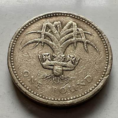 🌹外币初藏🌹🐯2026年第5场  每周二四六晚8️⃣点 接代拍 - 英国1990年一英镑