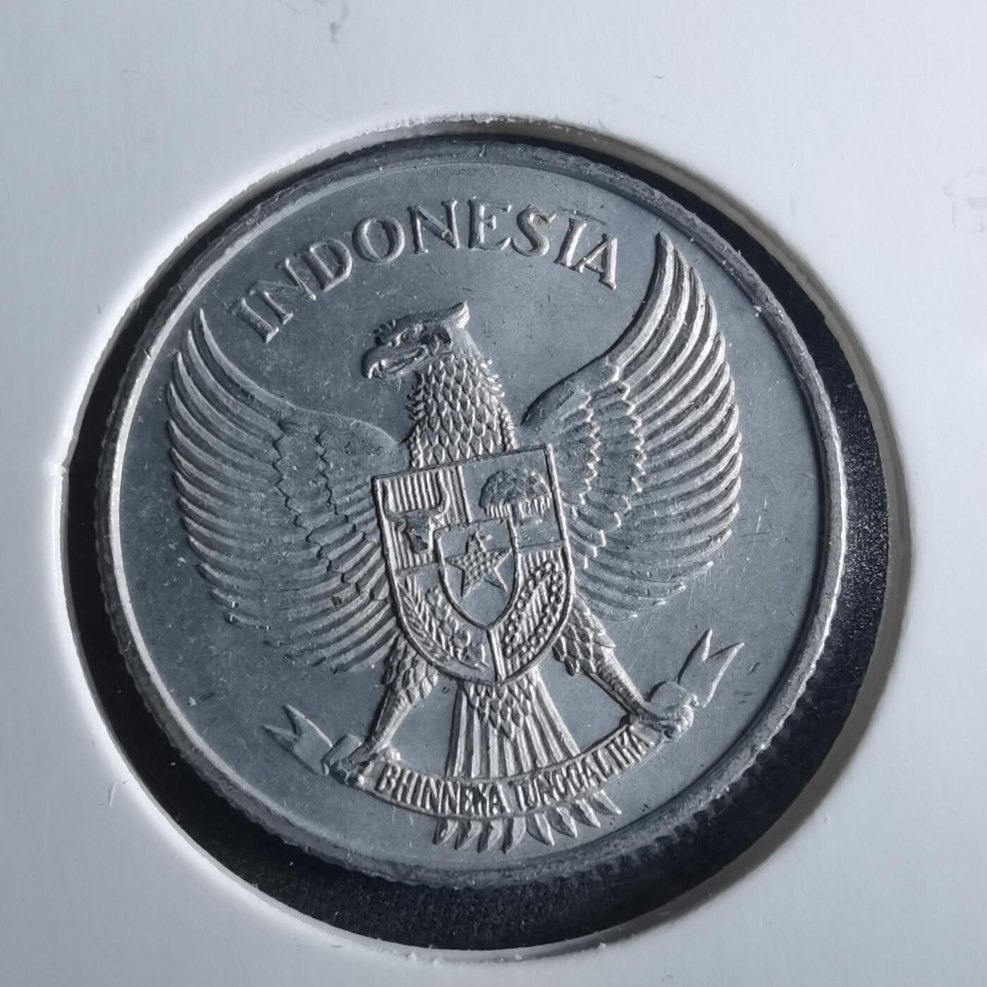 沼泽如烟--第956场 印度尼西亚1955年25分