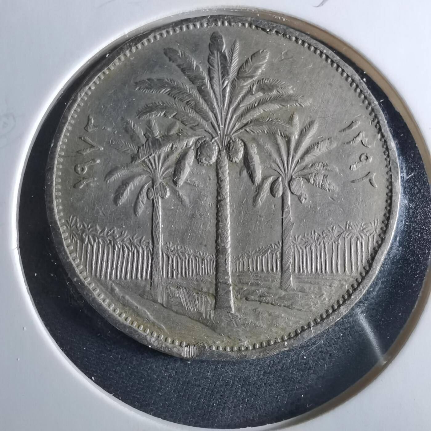 沼泽如烟--第956场