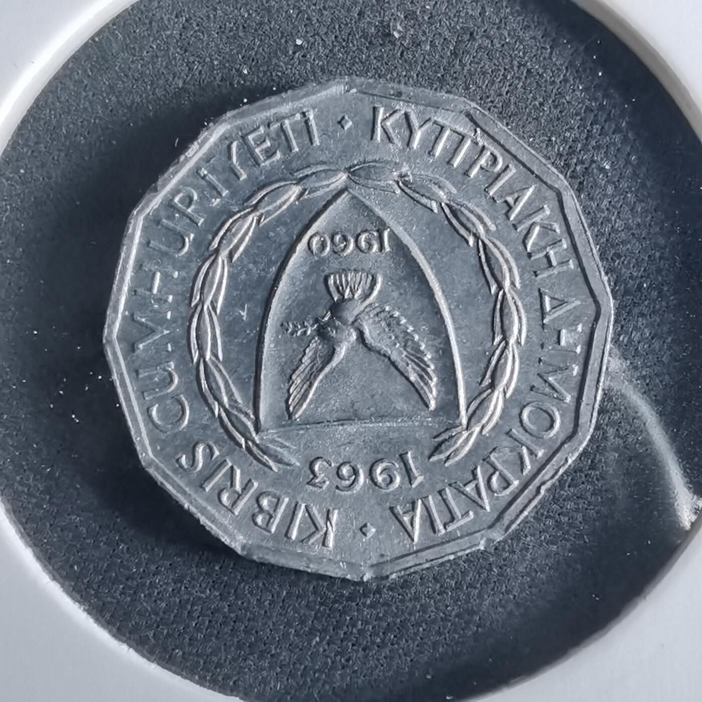 沼泽如烟--第956场