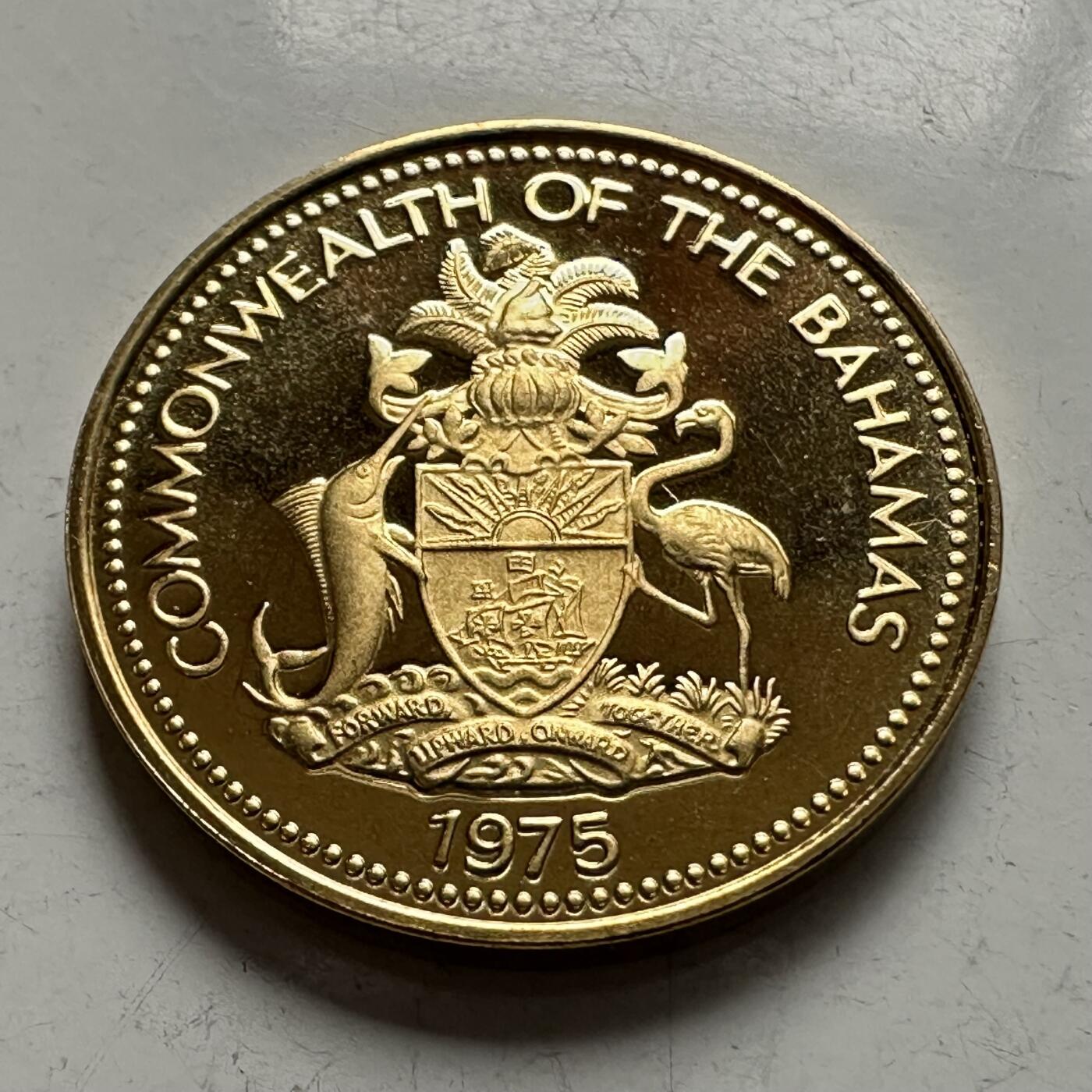 🌹外币初藏🌹🐯2026年第5场  每周二四六晚8️⃣点 接代拍