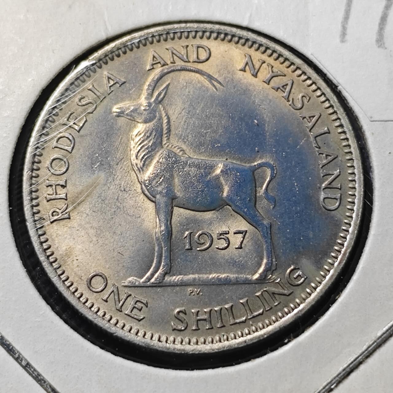 KK钱币收藏小铺  第399期  百期特拍（四拍之三）2月预留时间 周末发货   1957罗得西亚和尼亚萨兰1先令 好品