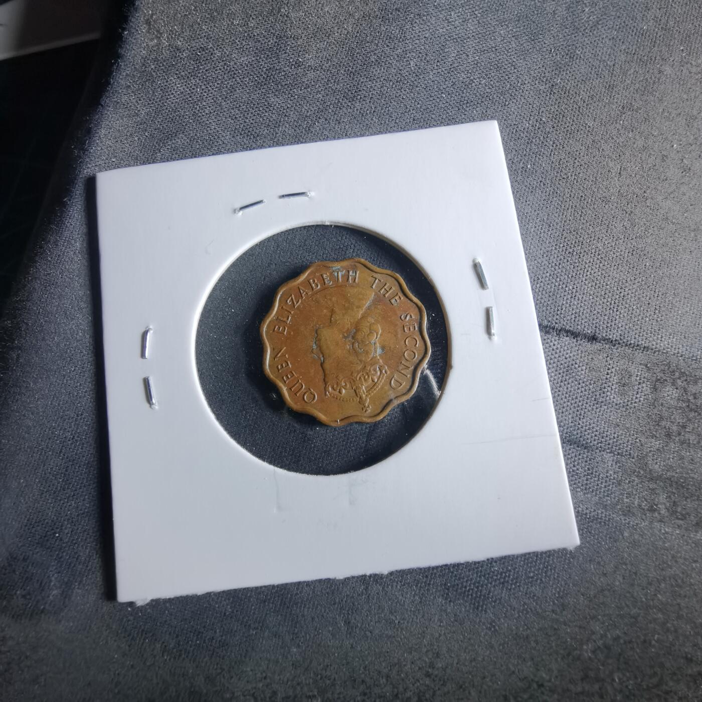 沼泽如烟--第956场