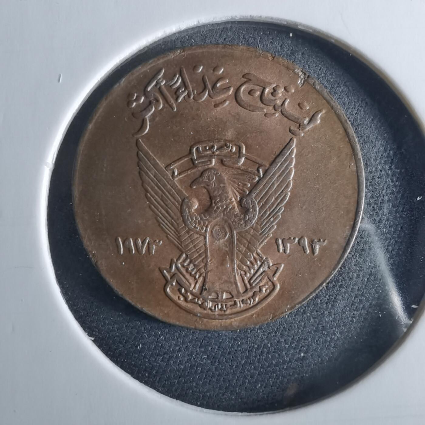 沼泽如烟--第956场