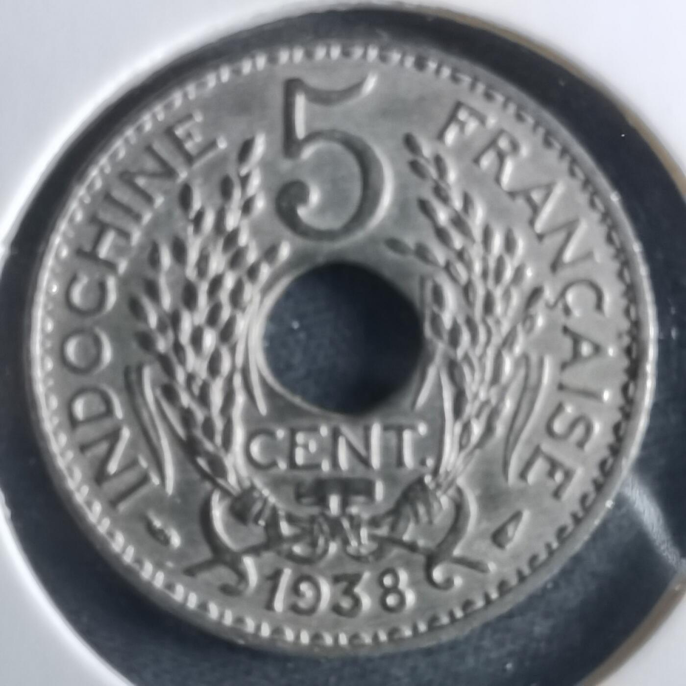 沼泽如烟--第956场