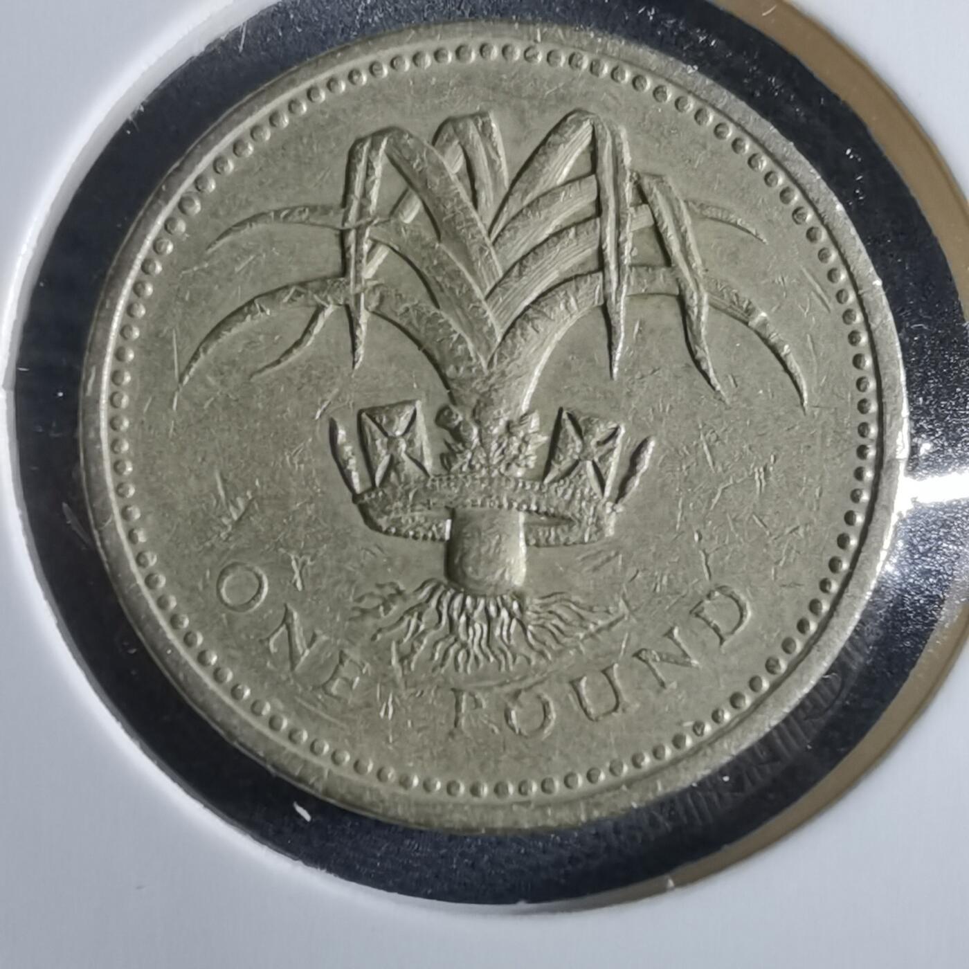 沼泽如烟--第955场