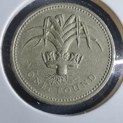 沼泽如烟--第955场 - 英国1985年一磅