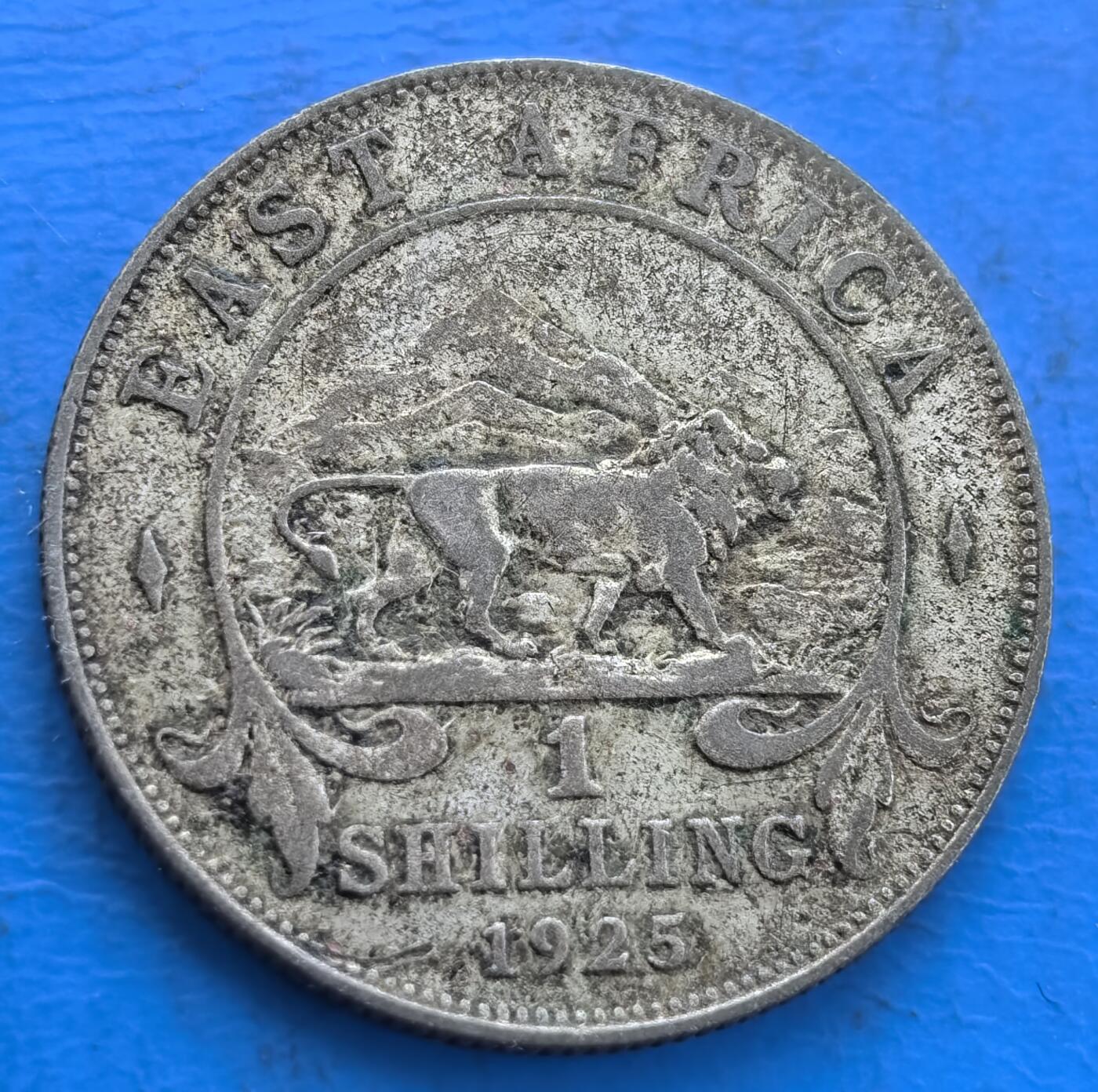 外国优质银币非洲美洲币，周六九点倒数截拍，满百包邮，持续收拍 英属东非1925 年乔治五世 1 先令银币7.8克，币面饰雄狮与东非地貌，承载殖民货币史，银质带岁月包浆，兼具非洲殖民钱币收藏与历史纪念属性。