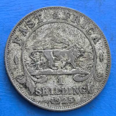 外国优质银币非洲美洲币，周六九点倒数截拍，满百包邮，持续收拍 - 英属东非1925 年乔治五世 1 先令银币7.8克，币面饰雄狮与东非地貌，承载殖民货币史，银质带岁月包浆，兼具非洲殖民钱币收藏与历史纪念属性。