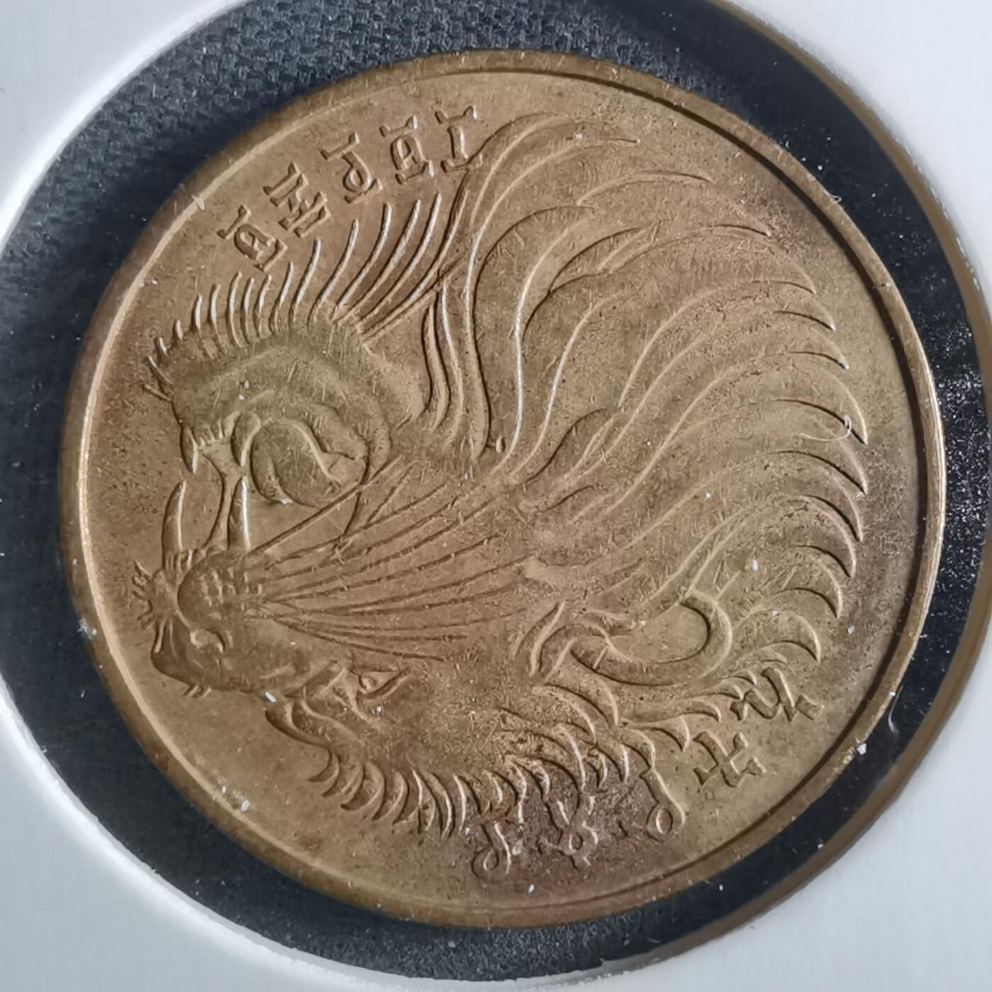 沼泽如烟--第955场