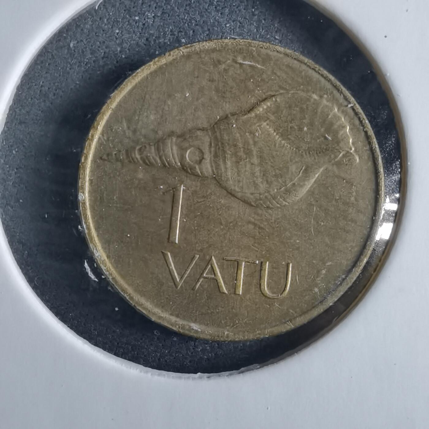 沼泽如烟--第955场