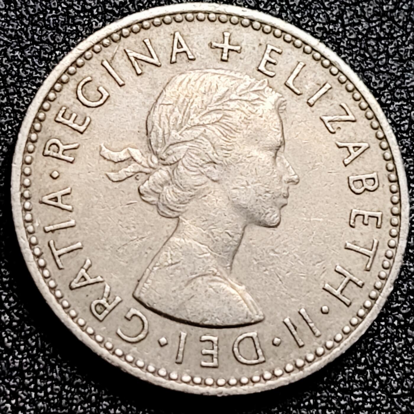 泉币菌-第167场- 精品福利场 。