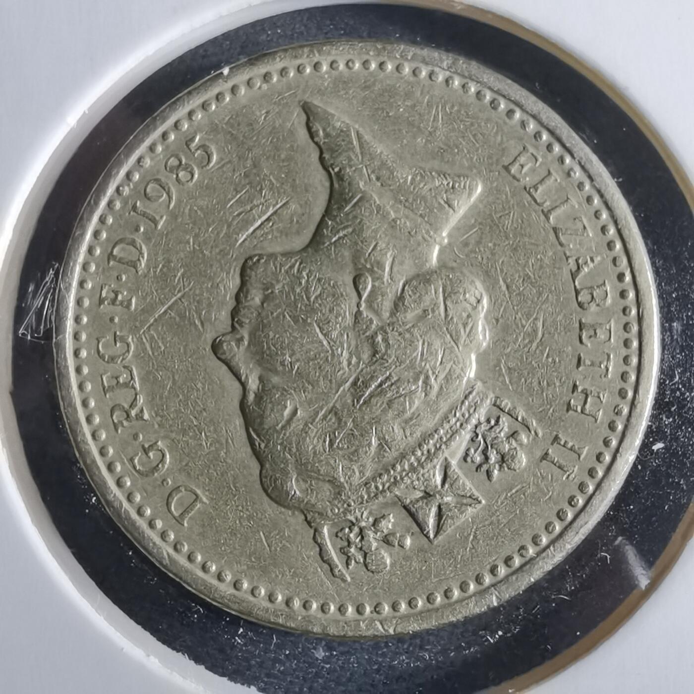 沼泽如烟--第955场