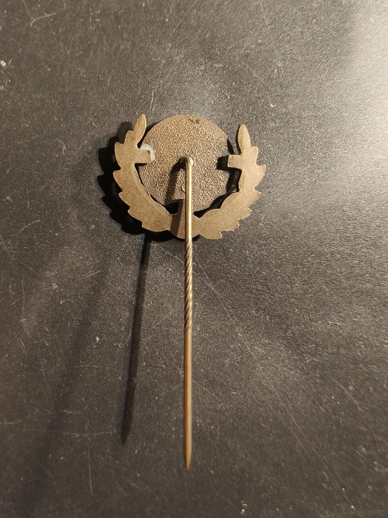 老王徽章第175期 德国汽车运动协会10年服务针插