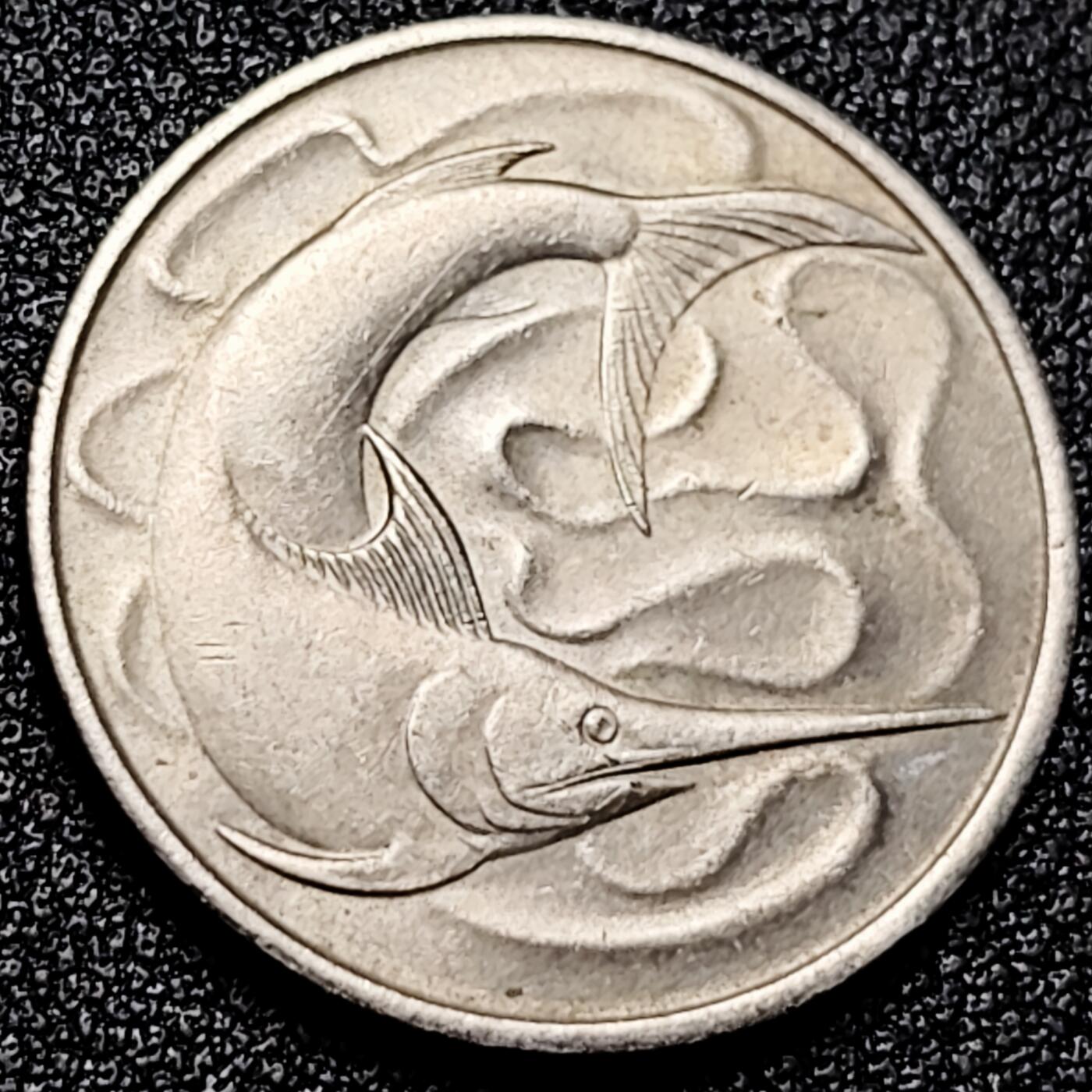 泉币菌-第167场- 精品福利场 。