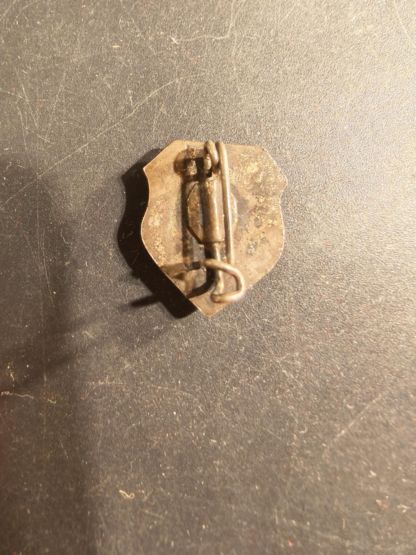 老王徽章第175期 瑞士证章