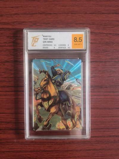 卡牌拍卖（捡漏，送拍） - TQG 万游测试卡 霹雳火秦明