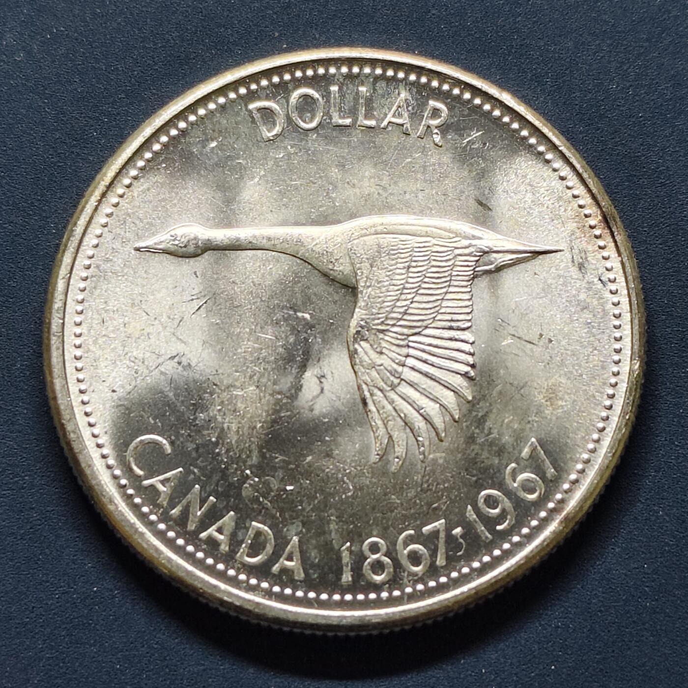 【全场包邮】纯粹捡漏拍493场