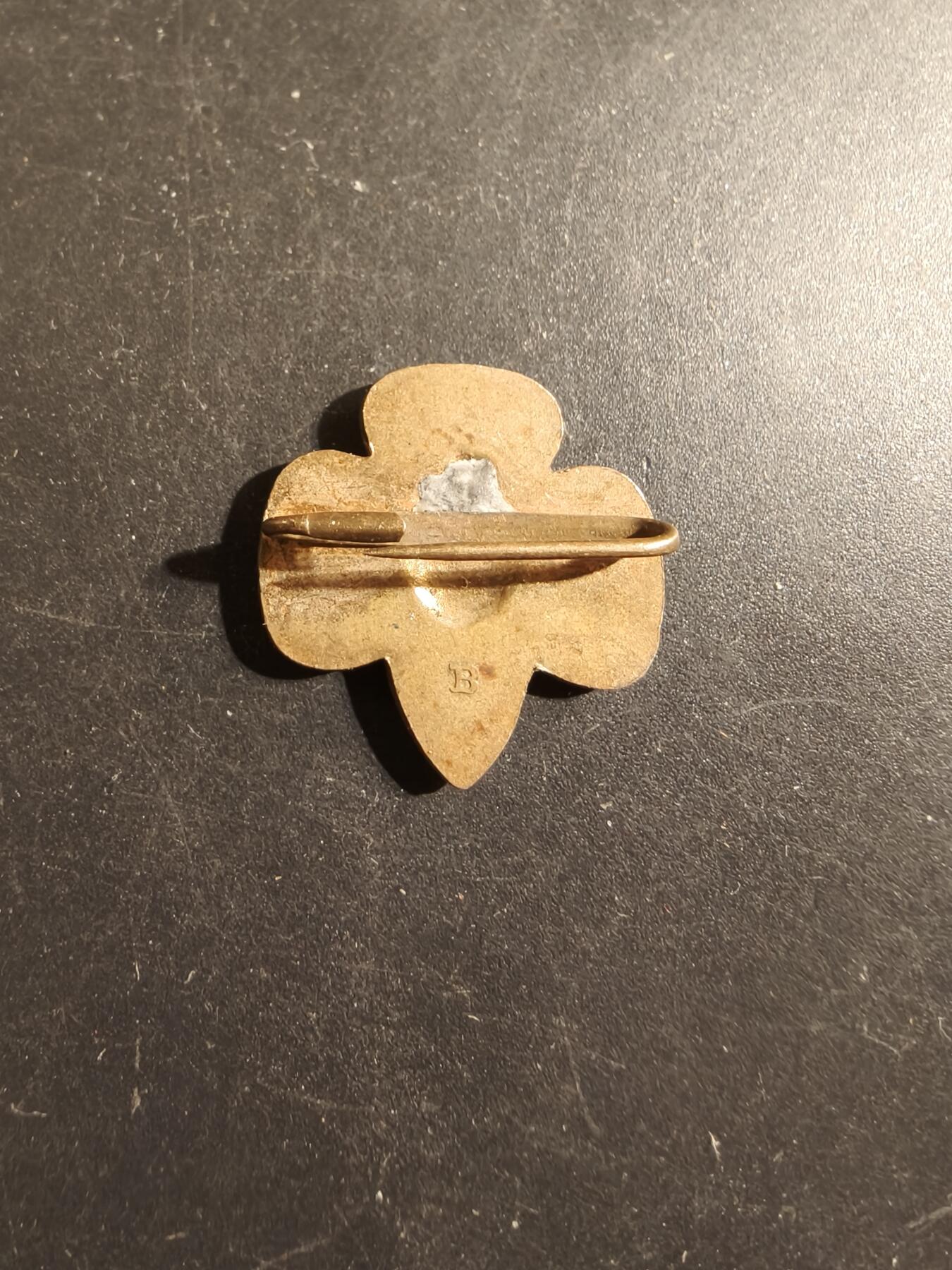 老王徽章第175期 美国女童子军领章