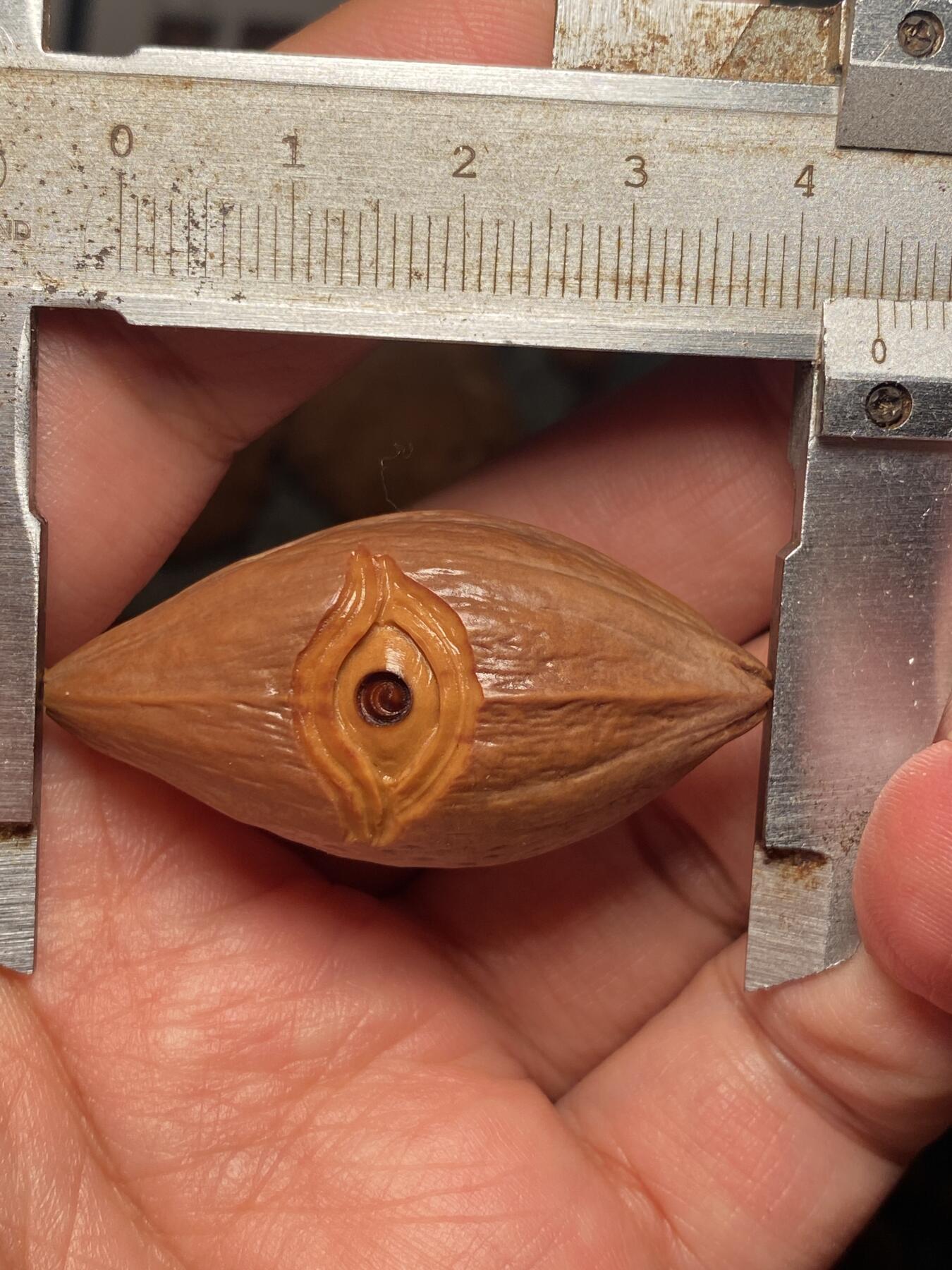 苏工名家王红秋个人作品展示 福利苏工核雕，纯手工雕刻，四花梅林大核天使之眼，个性十足，等待有缘人，市场无同款，尺寸2。2x4.49喜欢的来