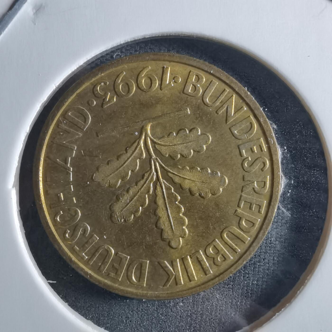 沼泽如烟--第955场